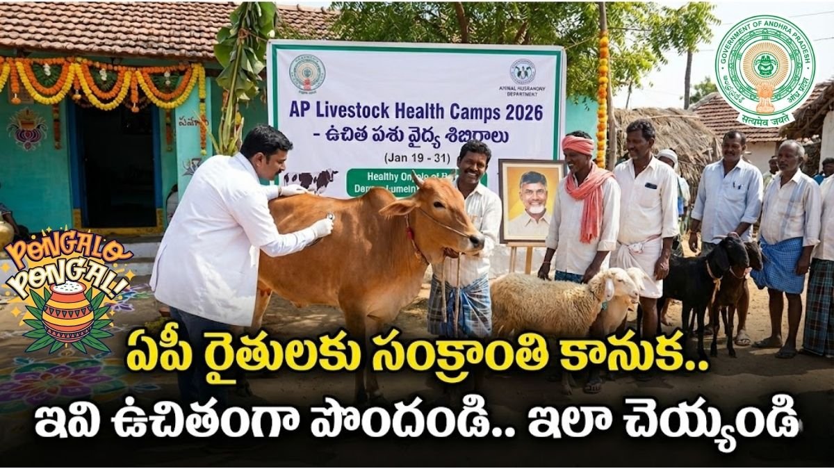 AP Livestock Health Camps 2026 Free Treatment For Farmers