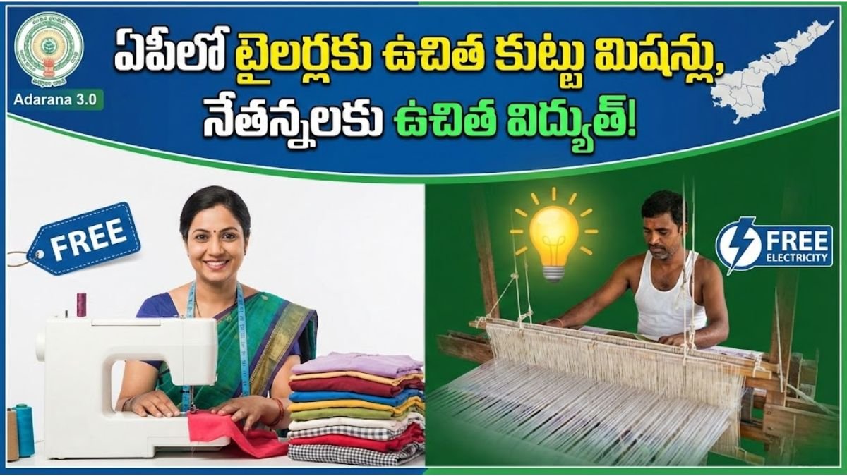 Free Sewing Machines Scheme For Tailors